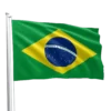Brazil Flag