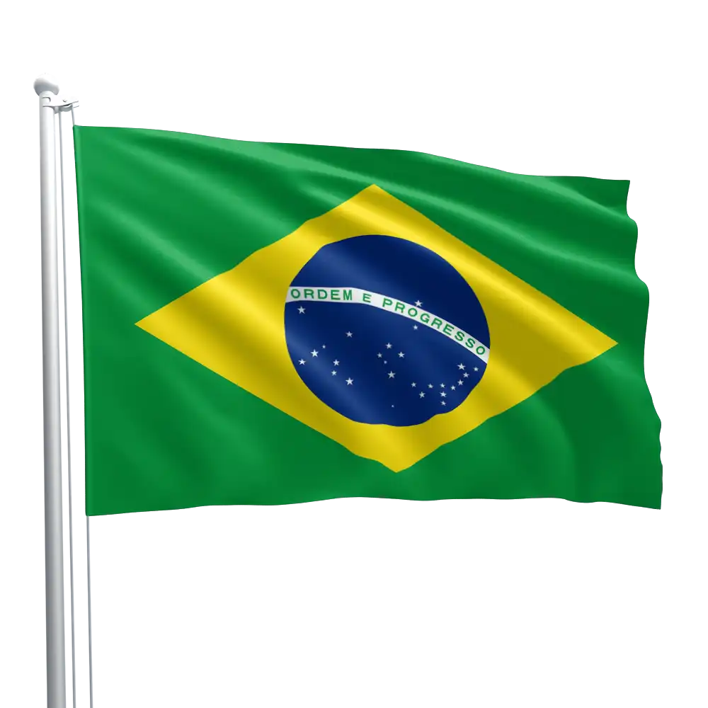 Brazil Flag