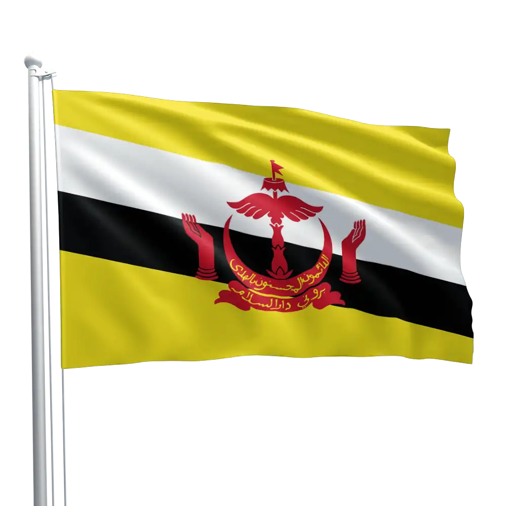 Brunei Flag