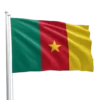 Cameroon Flag
