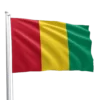 Guinea Flag