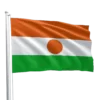 Niger Flag