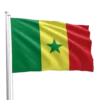 Senegal Flag