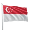 Singapore Flag