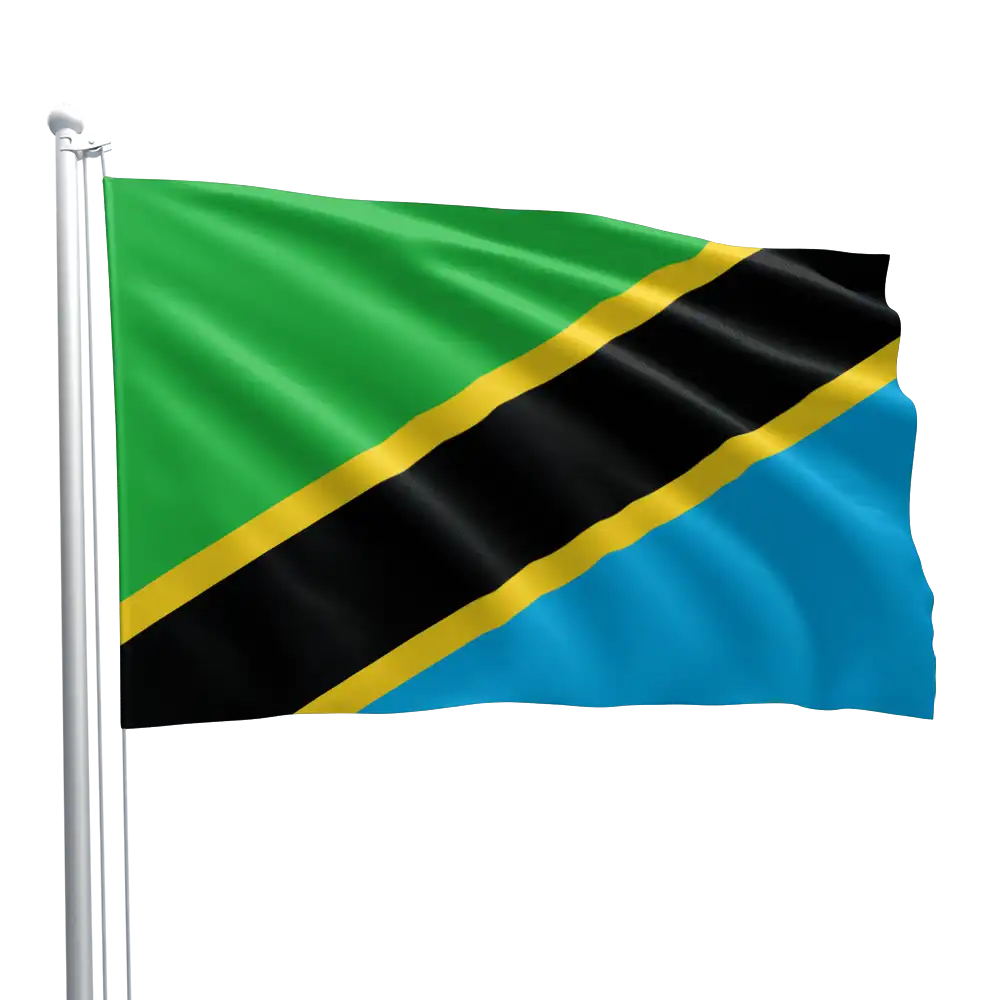 Tanzania Flag