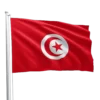 Tunisia Flag