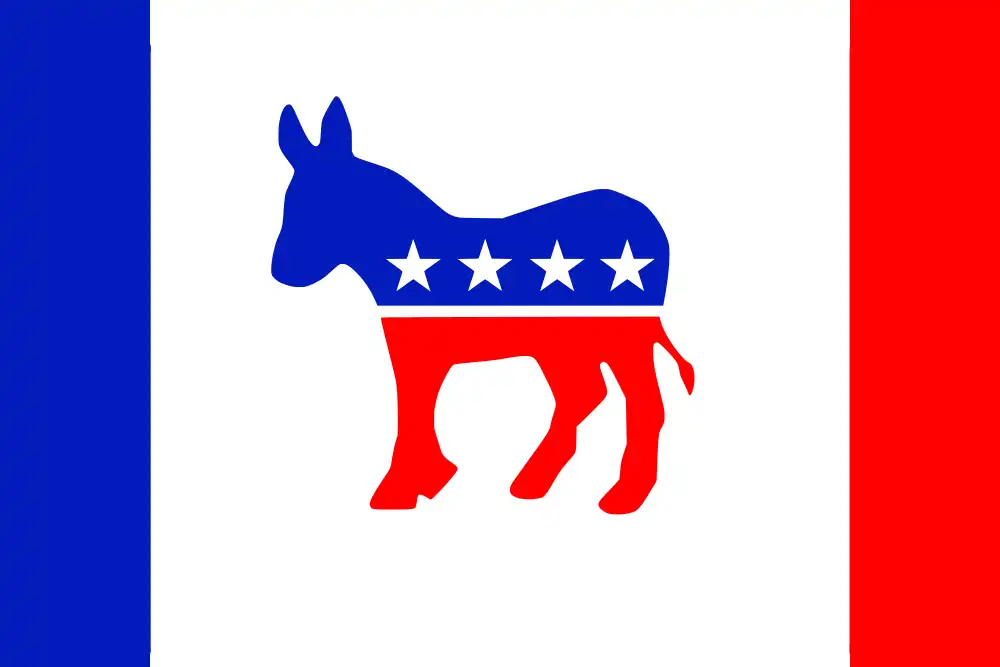 United States Democratic Party Flag