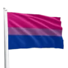 Bisexual Pride Flag