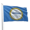 Boston City Flag