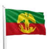 Brussels City Flag
