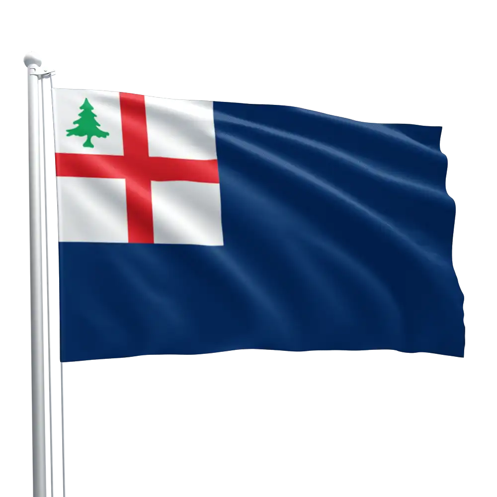 Bunker Hill Flag