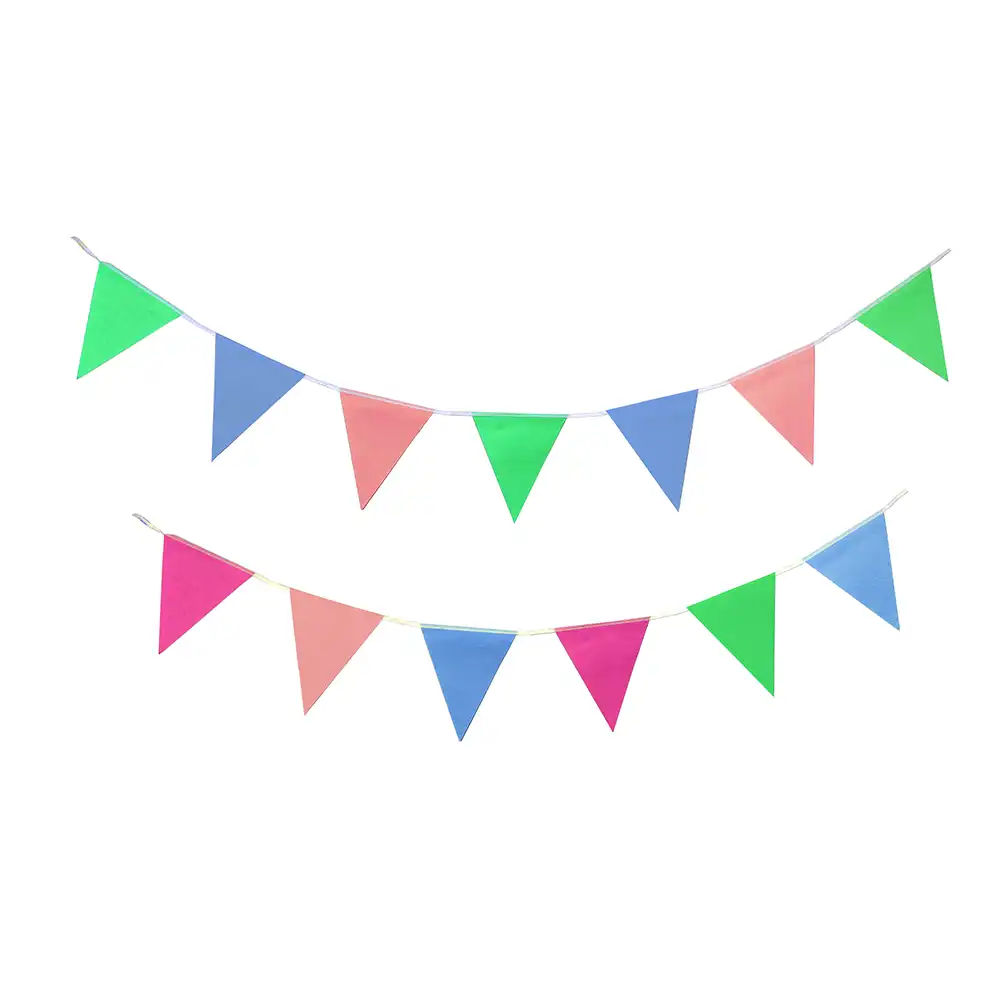 Colorful Pennant Streamer (25M)