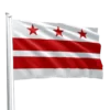 DC Statehood of Green Party Flag