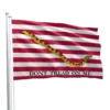 First Navy Jack