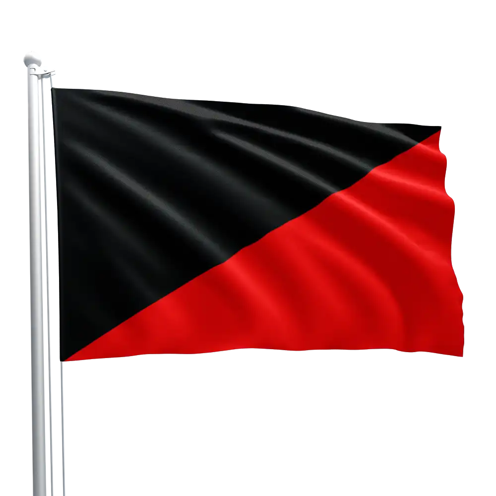 French Nation Anarchist Flag