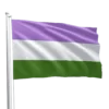 Genderqueer Pride Flag