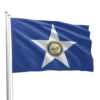 Houston City Flag