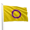 Intersex Pride Flag
