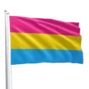 Pansexual Pride Flag