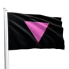 Pink Triangle Flag