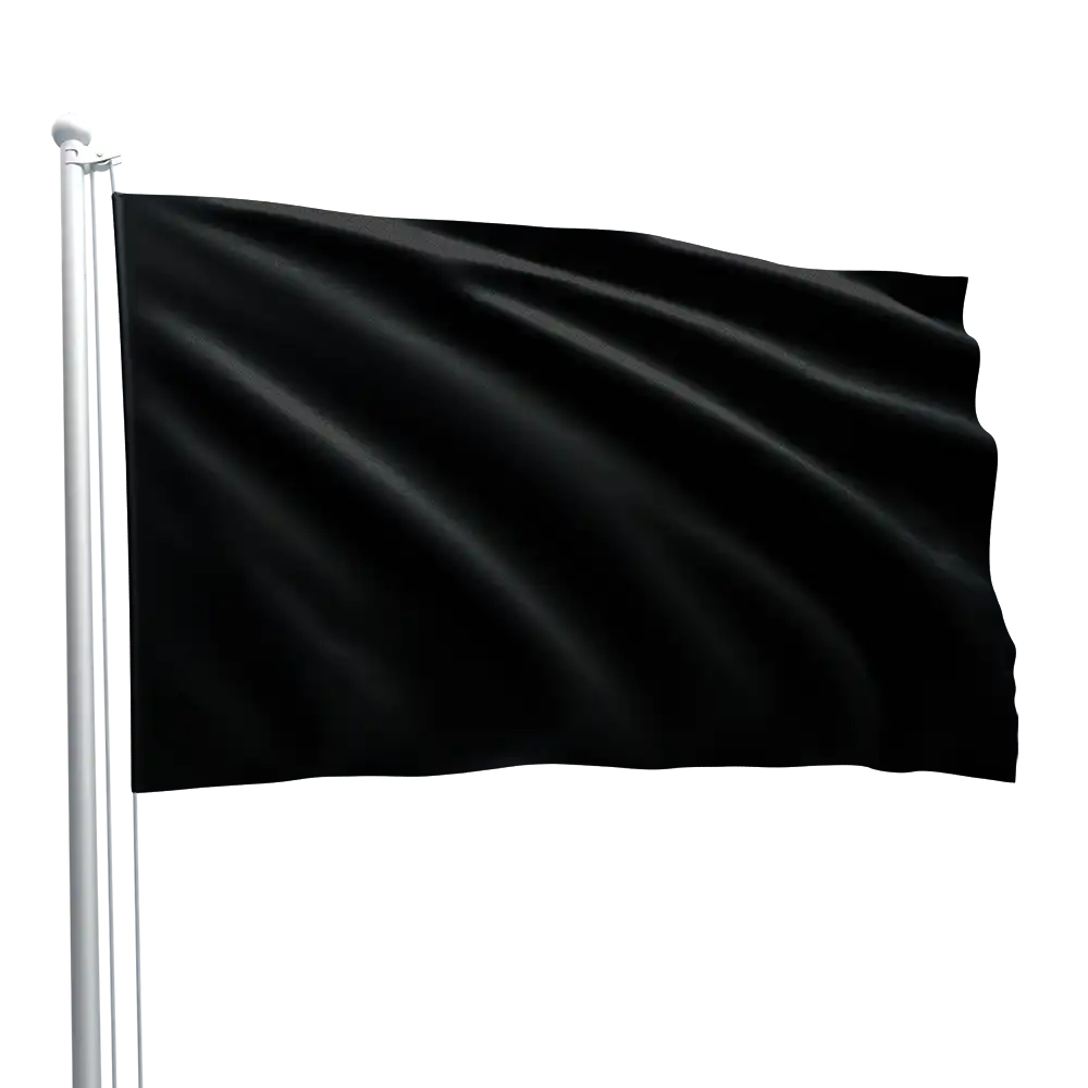 Racing flag (pull into pit for consultation)