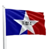 San Antonio City Flag