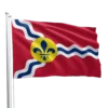 St. Louis City Flag