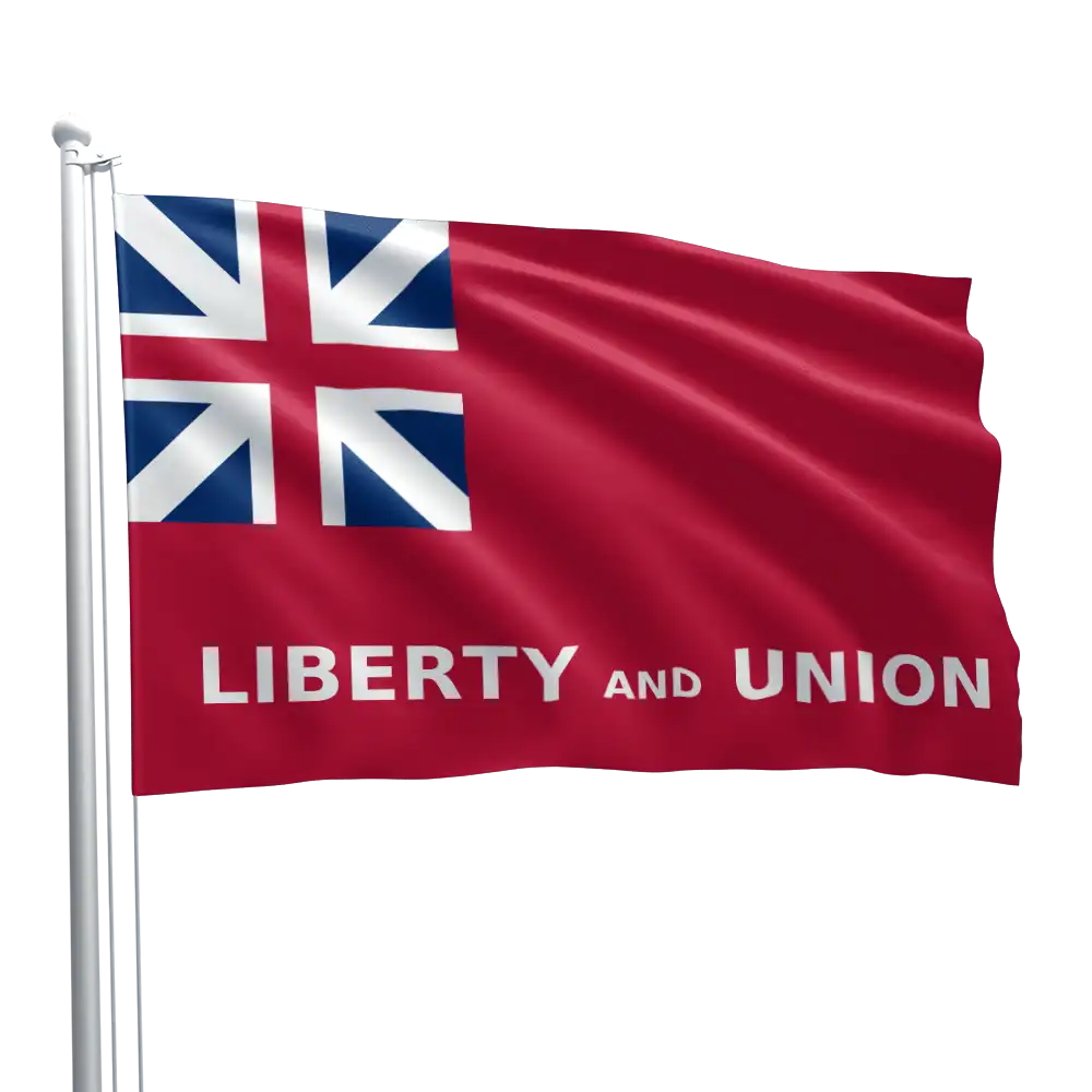 Taunton Flag