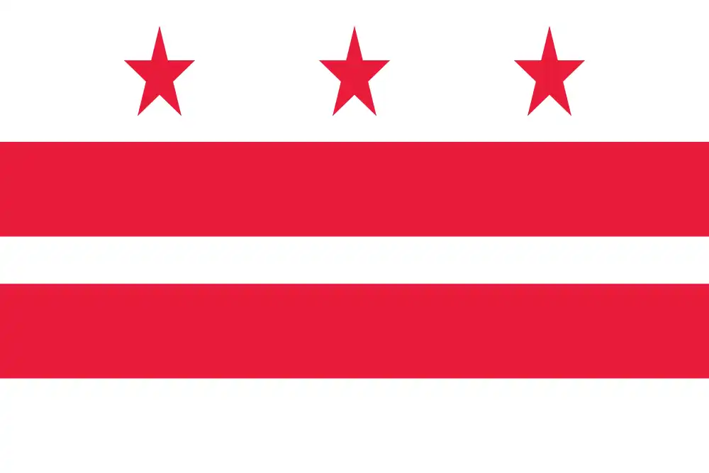Washington City Flag