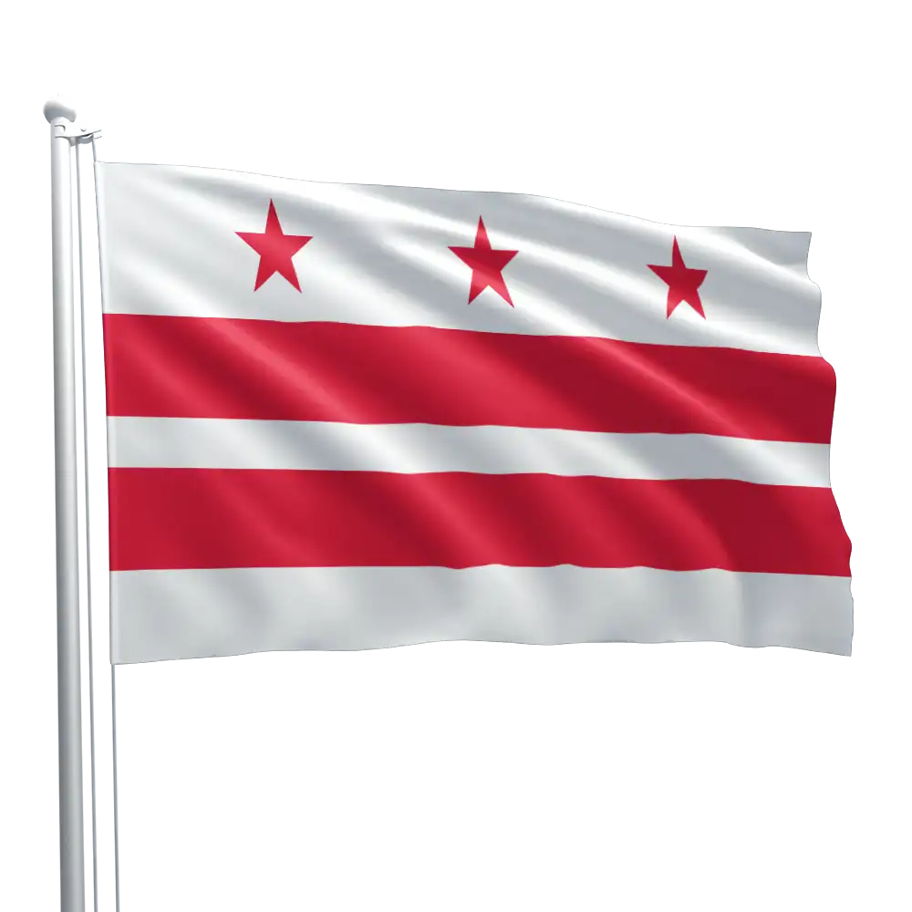 Washington City Flag