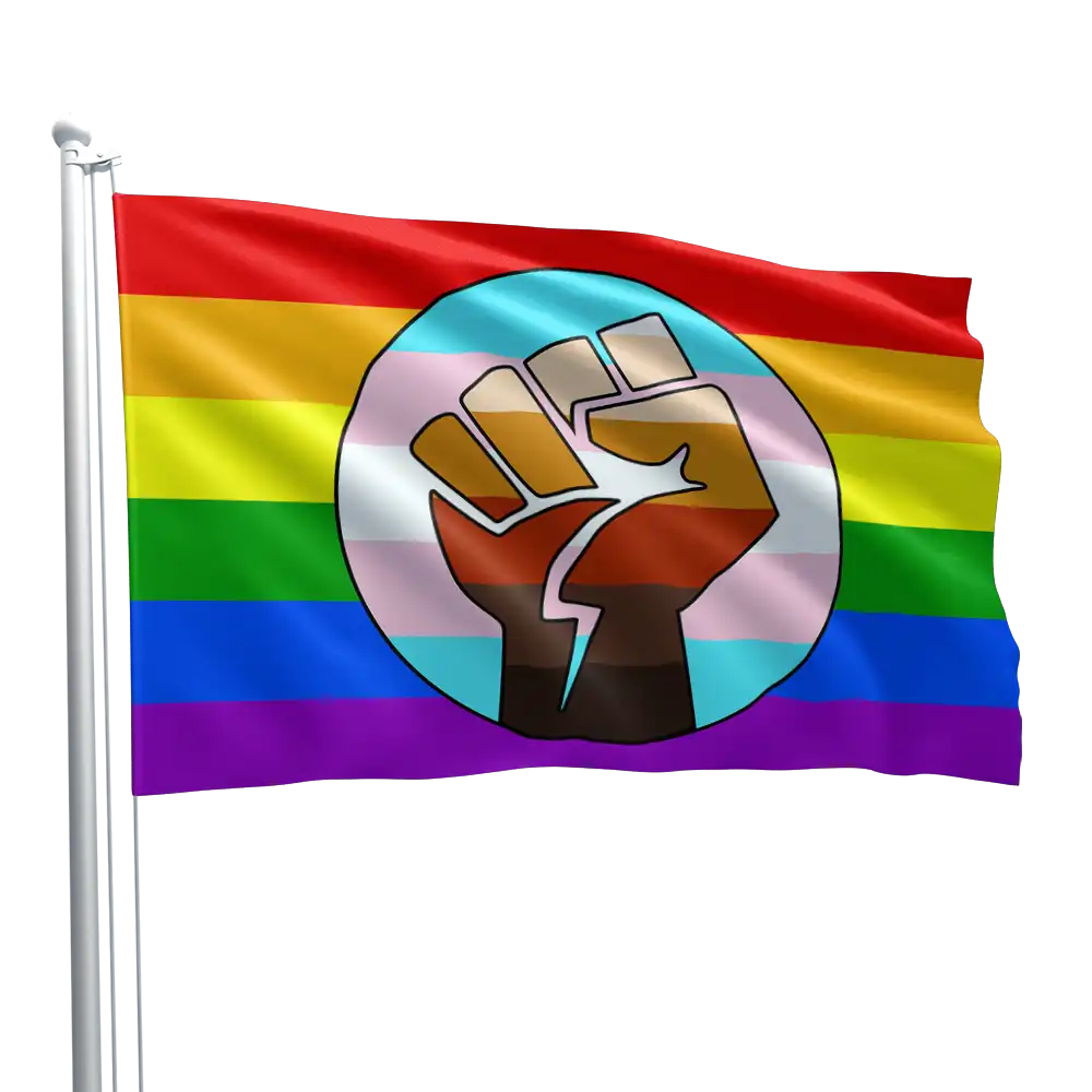 Black Lives Matter Punch Pride Flag