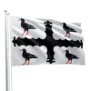 Flintshire Flag