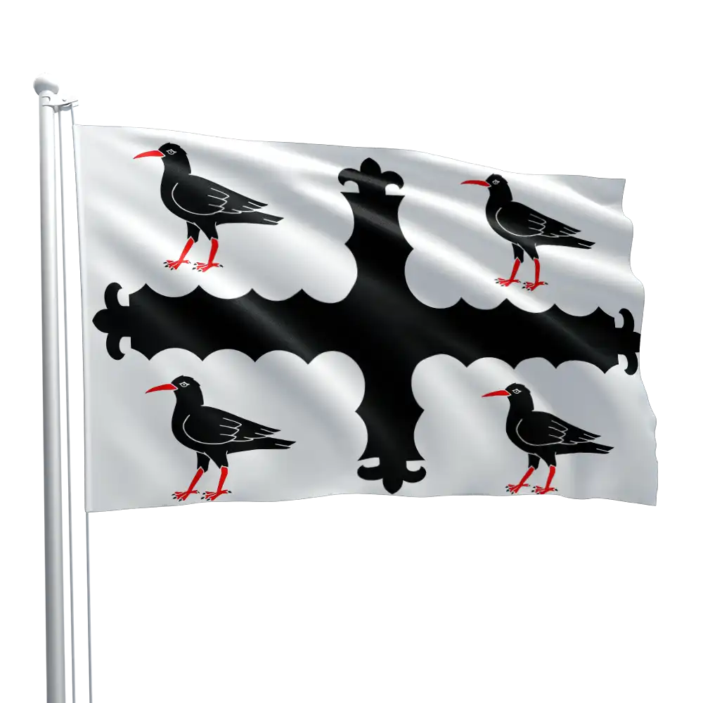 Flintshire Flag