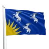 Merioneth Flag