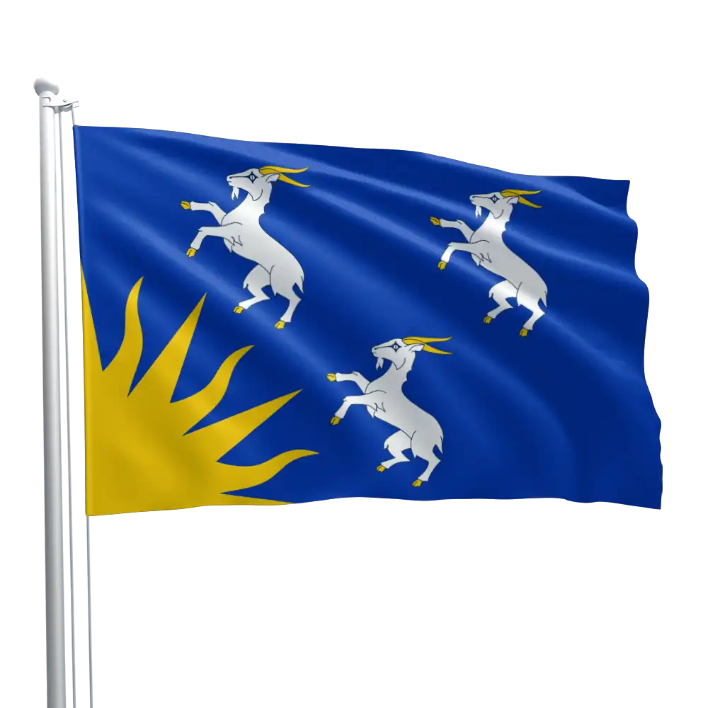 Merioneth Flag
